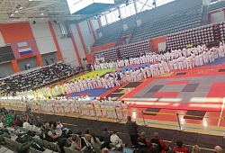 Всероссийские соревнования по всестилевому каратэ