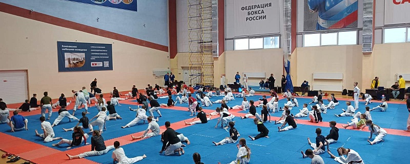Тренировочные мероприятия для тхэквондистов прошли в минувшие выходные в Рязани