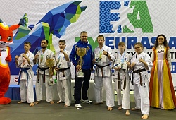 Международные и Всероссийские соревнования IX Кубок ЕврАзии (EurAsiaCup) по всестилевому каратэ