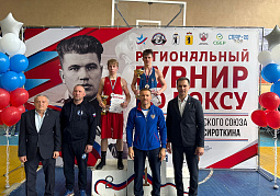 Региональный турнир по боксу памяти Героя Советского Союза  Ю.И. Сироткина